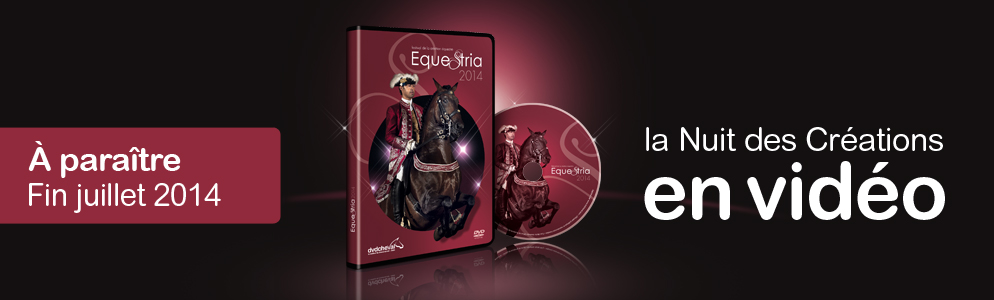 Obatala réalise le DVD du festival Equestria